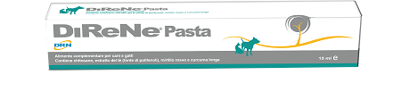 DIRENE PASTA 15 ML - Magnumfarma.it
