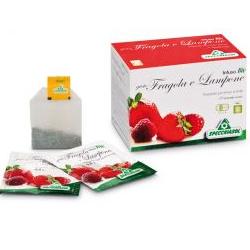 INFUSO BIO FRAGOLA E LAMPONE 20 FILTRI - Magnumfarma.it