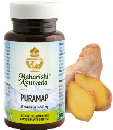 PURAMAP 60 COMPRESSE - Magnumfarma.it