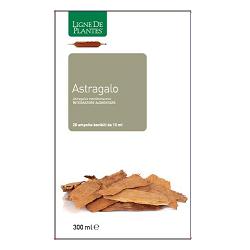 ASTRAGALO 20 AMPOLLE BEVIBILI DA 15 ML - Magnumfarma.it