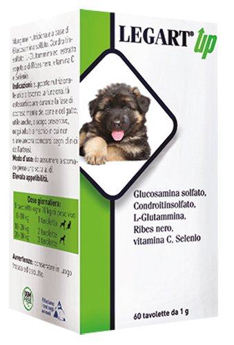 LEGART UP 60 COMPRESSE DA 1 G - Magnumfarma.it