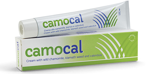 CREMA VEGETALE PER LE AFFEZIONI ANALI CAMOCAL 50 ML - Magnumfarma.it
