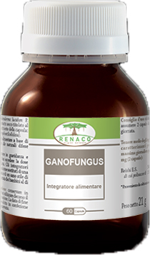 GANOFUNGUS 60 CAPSULE FLACONE 24 G - Magnumfarma.it