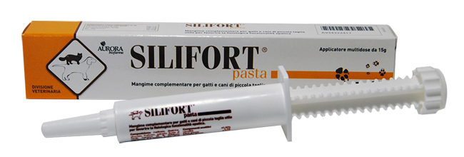 SILIFORT PASTA OS SIRINGA 15 G - Magnumfarma.it