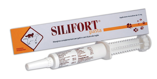 SILIFORT PASTA OS SIRINGA 30 G - Magnumfarma.it