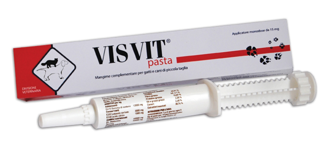 VISVIT PASTA OS SIRINGA 15 G - Magnumfarma.it