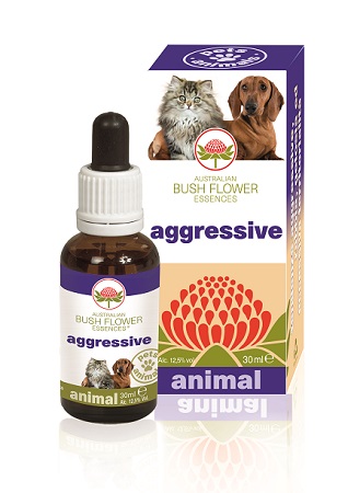 AGGRESSIVE 30 ML - Magnumfarma.it