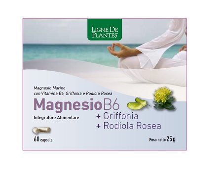 MAGNESIO B6 + GRIFFONIA + RODIOLA 60 CAPSULE - Magnumfarma.it