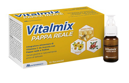VITALMIX PAPPA REALE 10FLACONCINI X10 ML S/GL - Magnumfarma.it