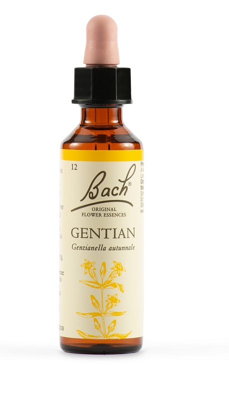 GENTIAN BACH ORIG 20 ML - Magnumfarma.it
