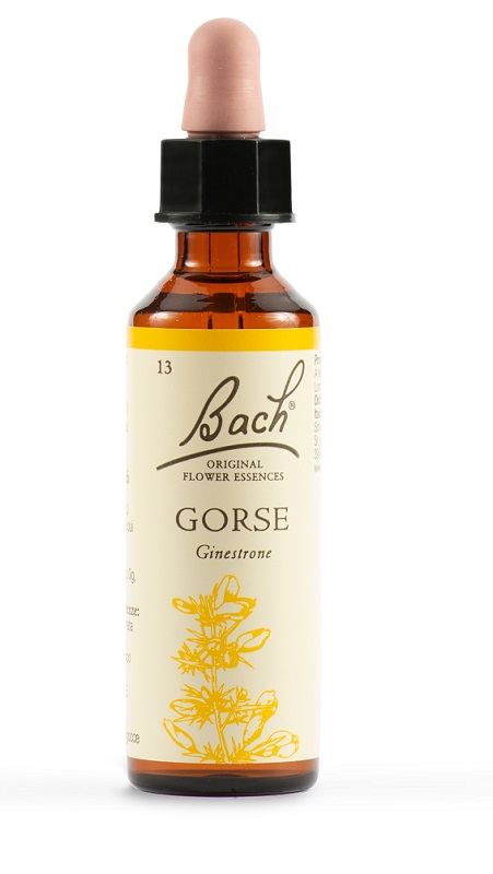 GORSE BACH ORIG 20 ML - Magnumfarma.it