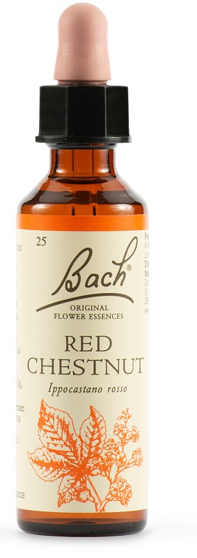 RED CHESTNUT BACH ORIG 20 ML - Magnumfarma.it