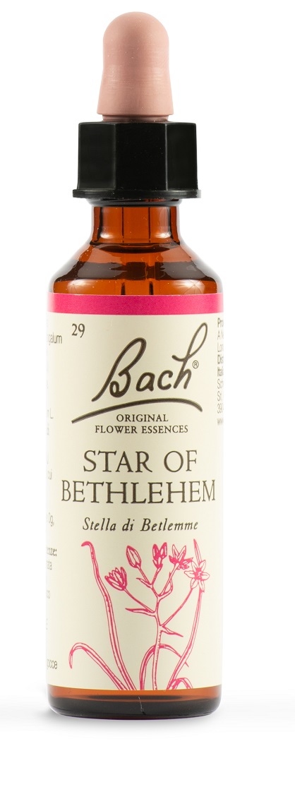 STAR OF BETHL ORIG 20 ML - Magnumfarma.it