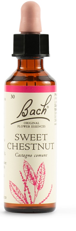 SWEET CHEST BACH ORIG 20 ML - Magnumfarma.it