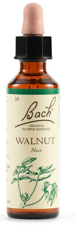WALNUT BACH ORIG 20 ML - Magnumfarma.it