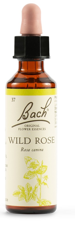 WILD ROSE BACH ORIG 20 ML - Magnumfarma.it