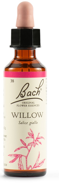 WILLOW BACH ORIG 20 ML - Magnumfarma.it