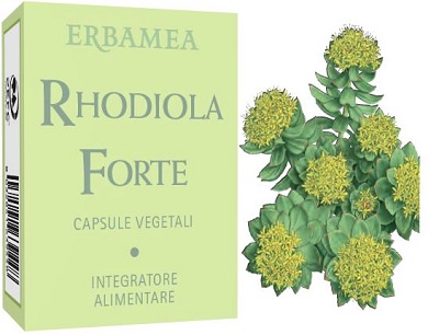 RHODIOLA FORTE 24 CAPSULE - Magnumfarma.it