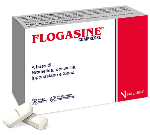 FLOGASINE 20 COMPRESSE - Magnumfarma.it