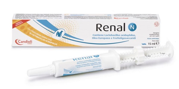 RENAL N PASTA SIRINGA DOSATRICE 15 ML - Magnumfarma.it