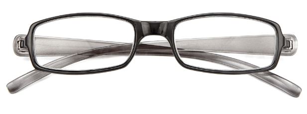 OCCHIALE DA LETTURA PREMONTATO TWINS SILVER DOUBLE +1,00 - Magnumfarma.it