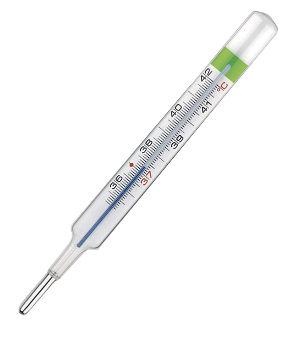 COLPHARMA THERMO GREEN PLUS TERMOMETRO - Magnumfarma.it