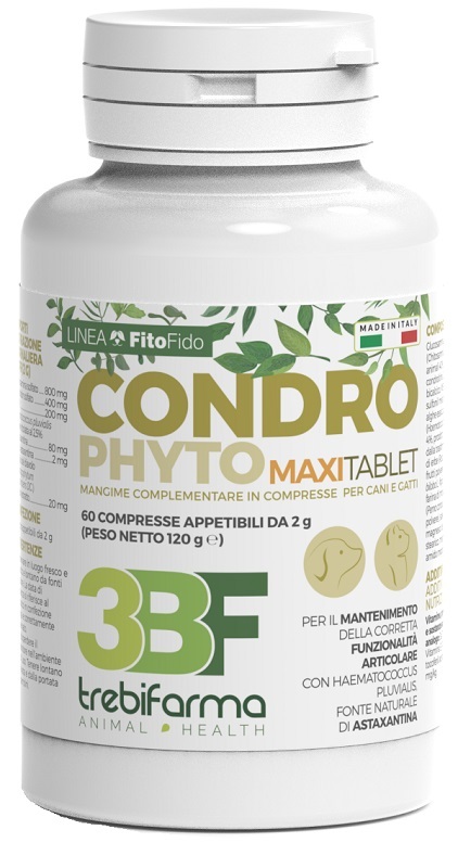 CONDROPHYTO 60 COMPRESSE 2 G - Magnumfarma.it