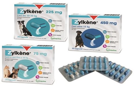ZYLKENE CHEWS 225 MG SACCHETTO RICHIUDIBILE DA 14 TAVOLETTE MASTICABILI - Magnumfarma.it