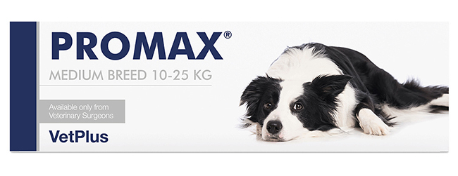 PROMAX MEDIUM BREED 18 ML - Magnumfarma.it