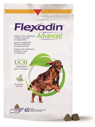 FLEXADIN ADVANCED CANE TUTTE LE TAGLIE 60 TAVOLETTE APPETIBILI - Magnumfarma.it